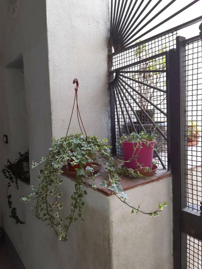 B&B Il Nespolo Salernes Extérieur photo